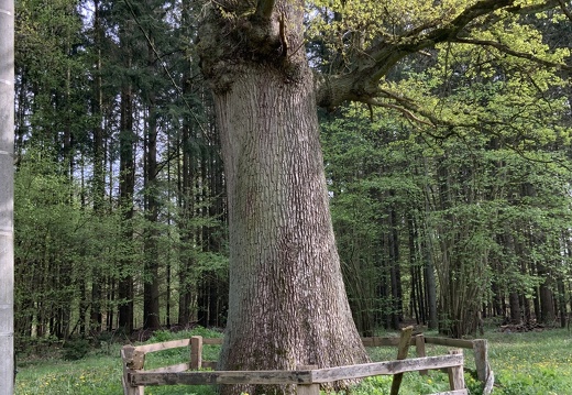 Frühling in Birkholz